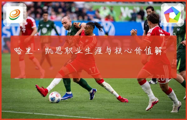 哈里·凯恩职业生涯与核心价值解析